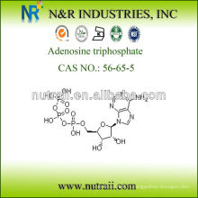 L&#39;adénosine triphosphate